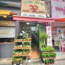 돌곶이역 6번출구 | 돌곶이역 꽃집 리라화원 생선뼈선인장 피쉬본 다육이 구매 후기