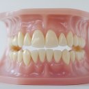 서울바른이치과교정과치과의원 이미지