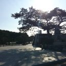 부산 영도 태종대 이미지