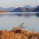 강 나 루 이미지