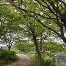 지정낚시터 이미지