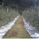 한솔농장 이미지