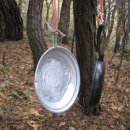 지리산약초 이미지