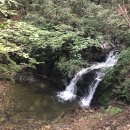 수목보호관리연구소