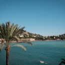 모나코 | 니스 근교 반일 투어 솔직 후기! 모나코, 에즈, 망통까지 알차게!