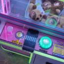 스타 게임장 이미지