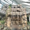 포항해맞이초등학교 | 환호공원식물원, 포항 식물원 정보•포토스팟 인생샷 후기