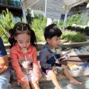 송소아청소년과의원 이미지