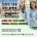 시티인포