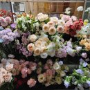 원종인의Flower 이미지