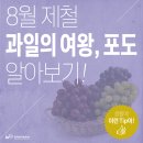 과일여왕