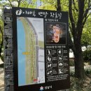 양현교_이매교사이 이미지