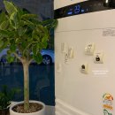 카페하우드 이미지