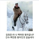 백마 이미지