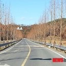 신두왕로 뉴시스