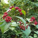 MY 행정사 사무소 이미지