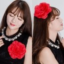 파티 이미지