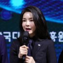 민주 “학력·경력은 성형한다고 명품 경력되지 않아, 사건번호 133호 김건희 수사하라” 이미지