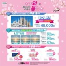 으뜸플러스안경 분당정자점 네이버블로그