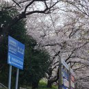 세븐일레븐 사직야구장본점 이미지