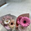 나니이모 | 청담 지엥마지 스튜디오 웨딩촬영 솔직 후기 (촬영시안/ 준비물/ 헬퍼이모/ 헤어변형/ 추가금방어팁)