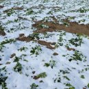 비금농업협동조합 이미지