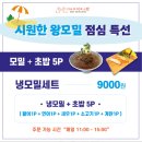 수.안초밥 이미지