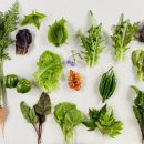 봉길농장 이미지