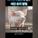 서초대로50길 8 이미지