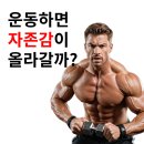 멸치탈출연구소 이미지