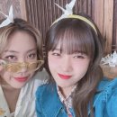 최유정 카카오 검색결과