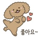 디그루밍 이미지