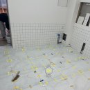 러블리마이펫 이미지