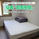 호텔힐링 | [울릉도 숙소] 깔끔하면서 가성비 좋은 &#34;힐링호텔&#34; 자세한 후기 ✍️