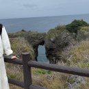 북부정류장 | 일본 오키나와 북부 하루하루 버스투어 후기 내돈내산 ♥ (츄라우미 수족관, 만좌모, 코우리대교 뚜벅이...