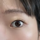 관평동 속눈썹펌 || ❝네일핏❞에서 노글루펌 속눈썹펌 후기