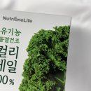 엽록소㈜ | 컬리케일 추천 솔직 후기