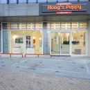 퍼피얌 그루밍 | 대구 강아지분양 퍼피얌부터 홍스퍼피까지 분양후기