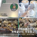 은지 | 보령 천북굴단지 맛집 은지굴수산 가격 우유창고 카페 후기