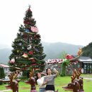 분천산타마을 자전거셰어링 이미지