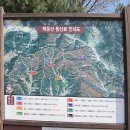 전남 광양 갈미봉＊쫓비산(536m) 매화마을 이미지