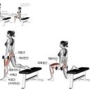 존피트니스 이미지