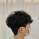 땡글하개 이미지