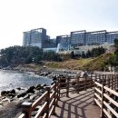 롯데리조트 속초 이미지