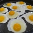 삼송백호태권도장 이미지