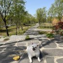 코지독하우스 이미지