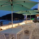 세파에 따르지 이미지