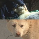 댄디농장 이미지