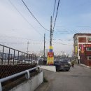 창동양계장 | 경기도5일장 먹거리 볼거리 많은 여주오일장 꼼꼼후기