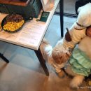 플루바잇츄 이미지